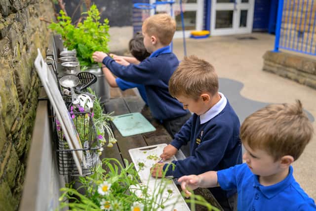 Hillsborough Nursery & Primary School pupils
