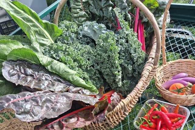Veg grown by pupils at Arbourthorne Community Primary School