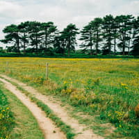 Three walks near Sheffield named among the UK’s most beautiful