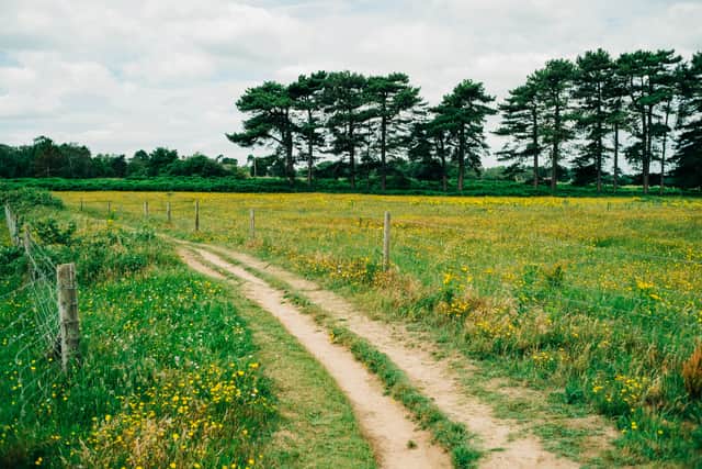 Three walks near Sheffield named among the UK’s most beautiful