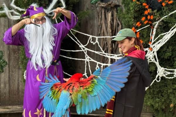 Marvel at the Magical School of Curious Creatures Animal Antics Show at the Tropical Butterfly House