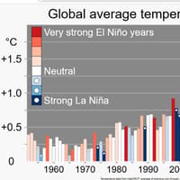Super El Niño  could bring food shortages this winter