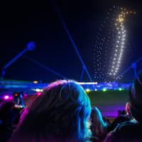 Wild drone show will bring animals to life above Wentworth Woodhouse