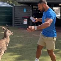 It's a kangaroo court for Sheffield's Kell Brook