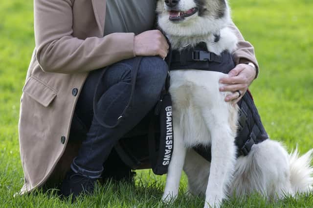 Syrian rescue dog Barrie with her owner Sean Laidlaw.  Picture: The Kennel Club and Flick Digital.