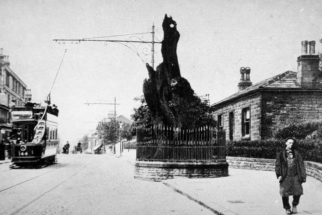 An ancient oak tree used to stand proudly to the north of St Michael's Church until 1941, where it stayed for 1,000 years. Known locally as the 'Shire Oak', it served as a meeting point for settling legal disputes & raising armies.