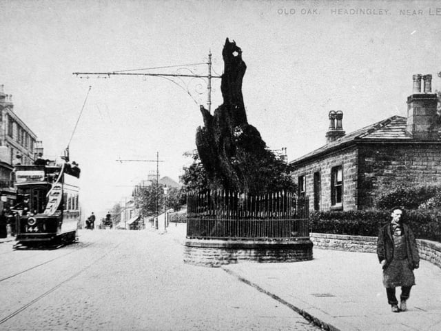An ancient oak tree used to stand proudly to the north of St Michael's Church until 1941, where it stayed for 1,000 years. Known locally as the 'Shire Oak', it served as a meeting point for settling legal disputes & raising armies.