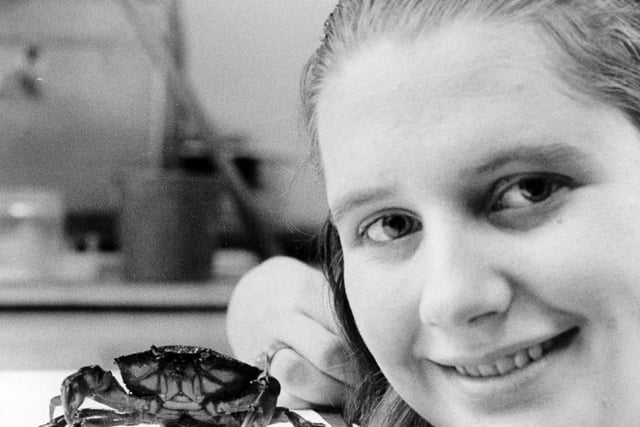 Young Josephine Hornby is pictured with Clara the crab at Leeds City Museum.