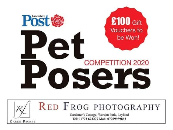 Lancashire Post Pet Posers 2020: Vote for the cutest pet in the county