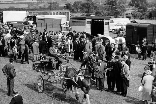 Lee Gap Horse Fair in August 1964.