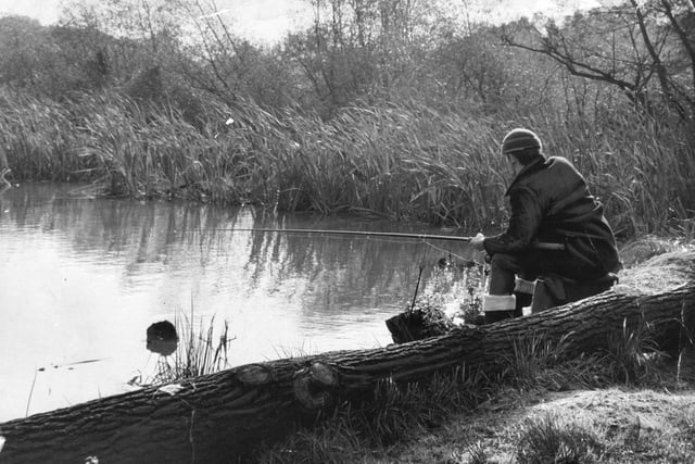 James Bennett finds a quiet backwater in which to fish at Newmillerdam Country Park in October 1968.