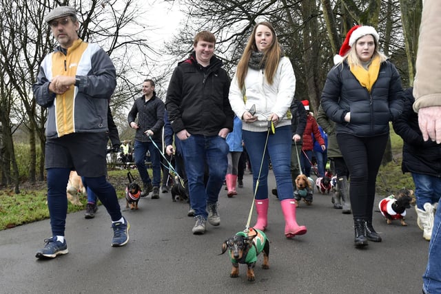 These cute sausage dogs are just too cute. The annual Daschund walk at Roundhay Park takes place in December.