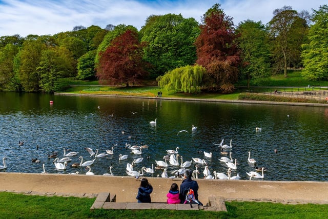 If you feel healthy, and keeping to social distancing guidelines, all Leeds' parks are open for you to enjoy a walk, run or outdoor workout.