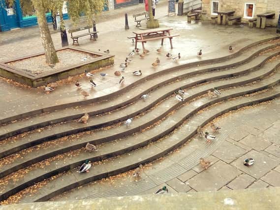 Feathered friends in Hebden Bridge, by Peter Sykes