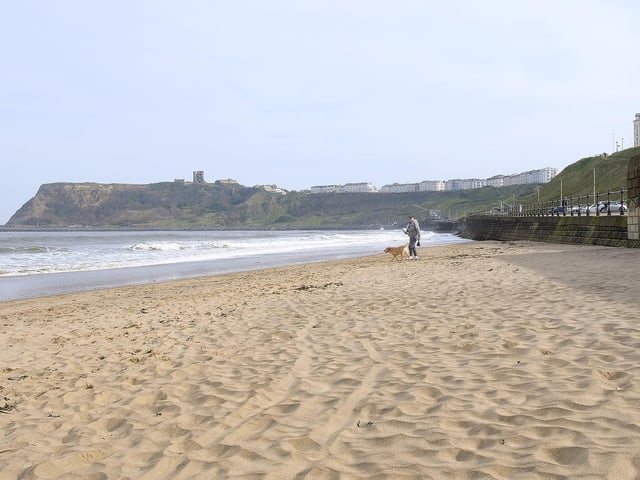 A lone dog walker on North Bay.