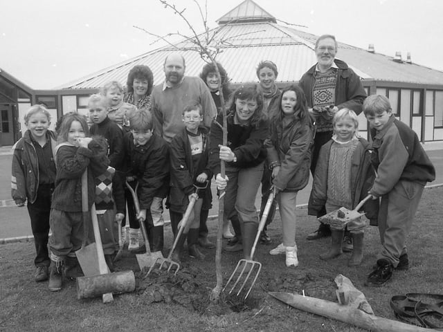Preston youngsters sowed the seeds of their environmental project when they planted 60 trees in the school grounds. Parents of pupils at Sherwood Primary School, Preston, donated most of the trees to the project and helped out with the official planting ceremony