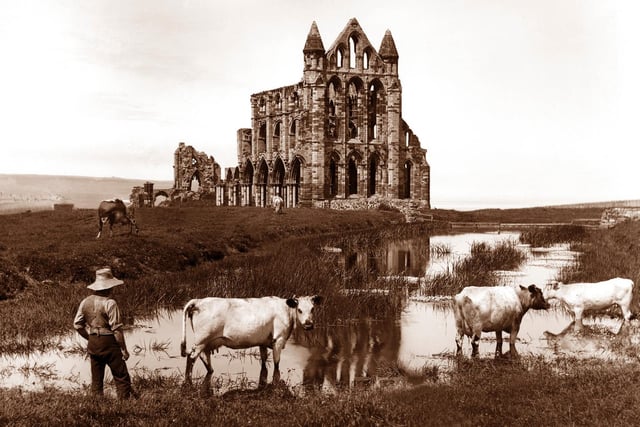 Ref: 4-3 Whitby Abbey, circa 1880.
