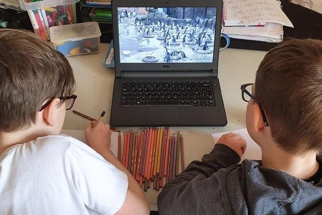 We asked you to send in your home schooling photographs - learning looks like fun!