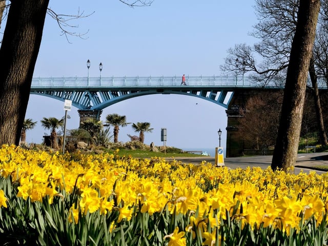Spring flowers in The Valley.