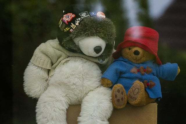 Teddy bear hunt in Calverley