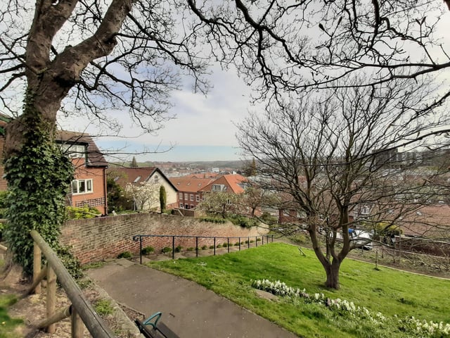 Serene of Whitby from the top of the Little Park.