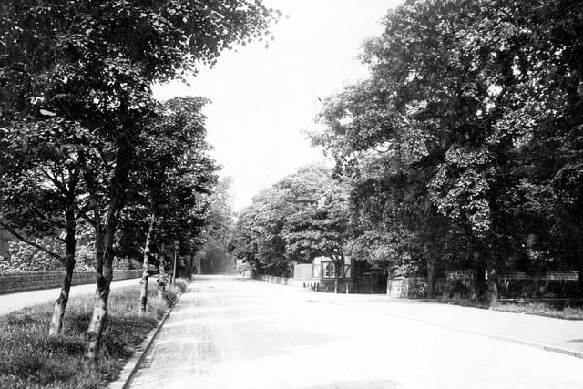 Stonegate Road, looking towards the junction with Stainbeck Lane. To the right, in the centre, is the entrance to Alder Hill Lodge.