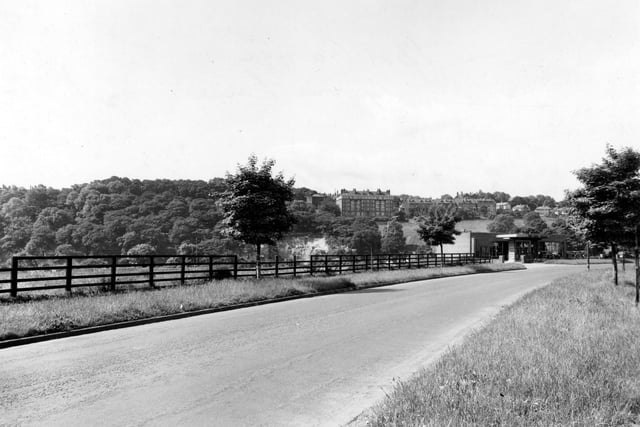 Looking along Grove Lane towards the Spot Garage. The lane has a grass verge and a ranch fence along its length. In the background are large houses and woodland along Woodhouse Ridge.
