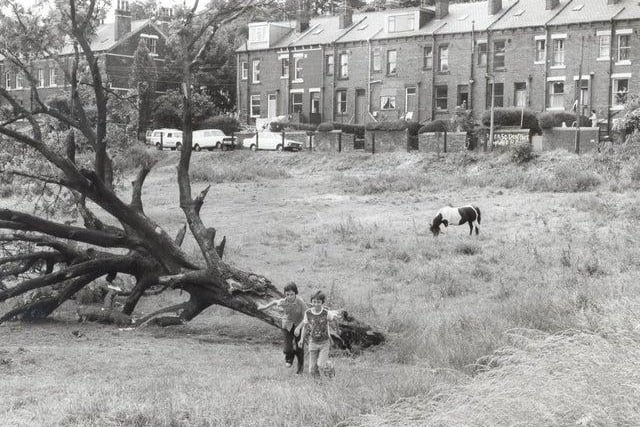 Generations of children who had played on a piece of rough land off Meanwood Road now find it is not theirs and is going to be fenced off. A neighbour plans to enclose the land, near Sugar Well Hill, to graze his horses in safety.