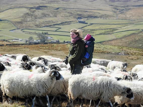 Sheep farmer Amanda Owen - better known as TV and social media star the Yorkshire Shepherdess - at Ravenseat Farm in Swaledale