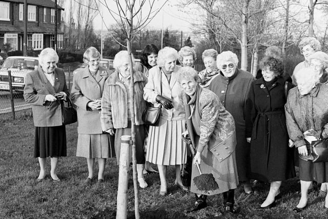 Supporters attend a tree planting at the Hospice in 1991. The Hospice recently changed its logo to a tree, to represent the eight nurses who 'planted the seed' of the hospice and helped it grow.