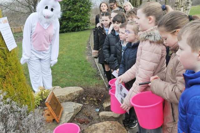 Pupils at St Peter's CE Primary School, Hindley, take part in an Easter Egg trail around the grounds of Wigan and Leigh Hospice, with help from Bess the Bunny, part of their activities for lent and raising funds for the hospice, March 2018.