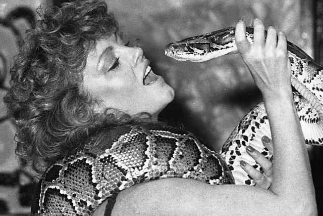 Wigan girl Yvonne McCann who danced with a snake at Glitters night club in Newtown in September 1984.