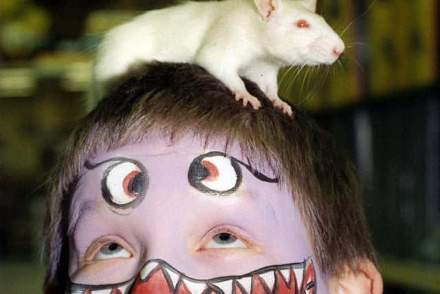 Christopher Jones, 11, meets a friendly rat at a fun day to celerbate the opening of the new Pet City store in Marus Bridge, Wigan, February 1997.