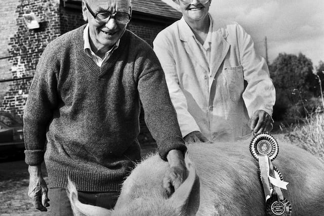 Bob Ball and wife Betty, of Robin Hill West Farm at Standish, pictured with a prize pig, Bob was one of the agricultural world's best known pig men, pictured August 1993.
