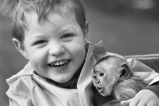 Daniel Birchinall, three, cuddles Coco, a Capuchin monkey, at Haigh Zoo in 1992.
