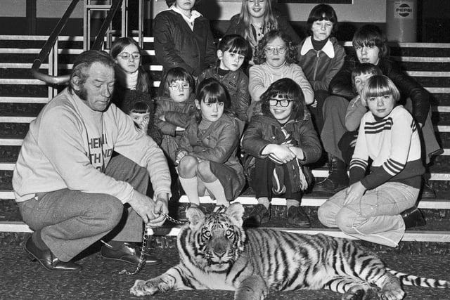 Young film enthusiasts get close to a live bengal tiger at the Ritz cinema in 1978.