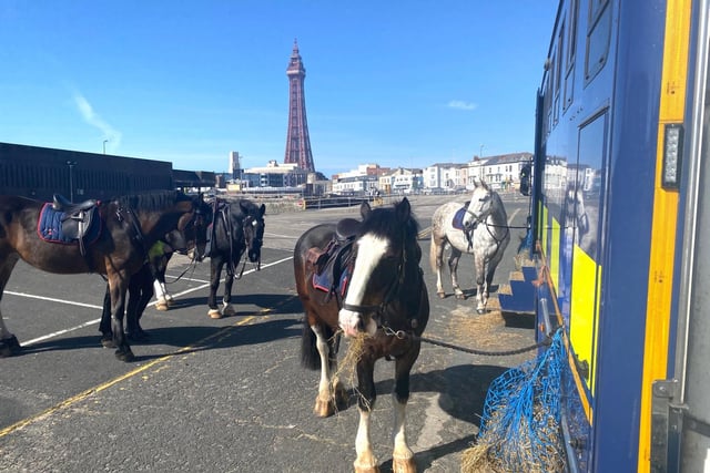 However, police in Blackpool said they had to move on several 'sunbathers' breaching the restrictions to try and enjoy the weather yesterday