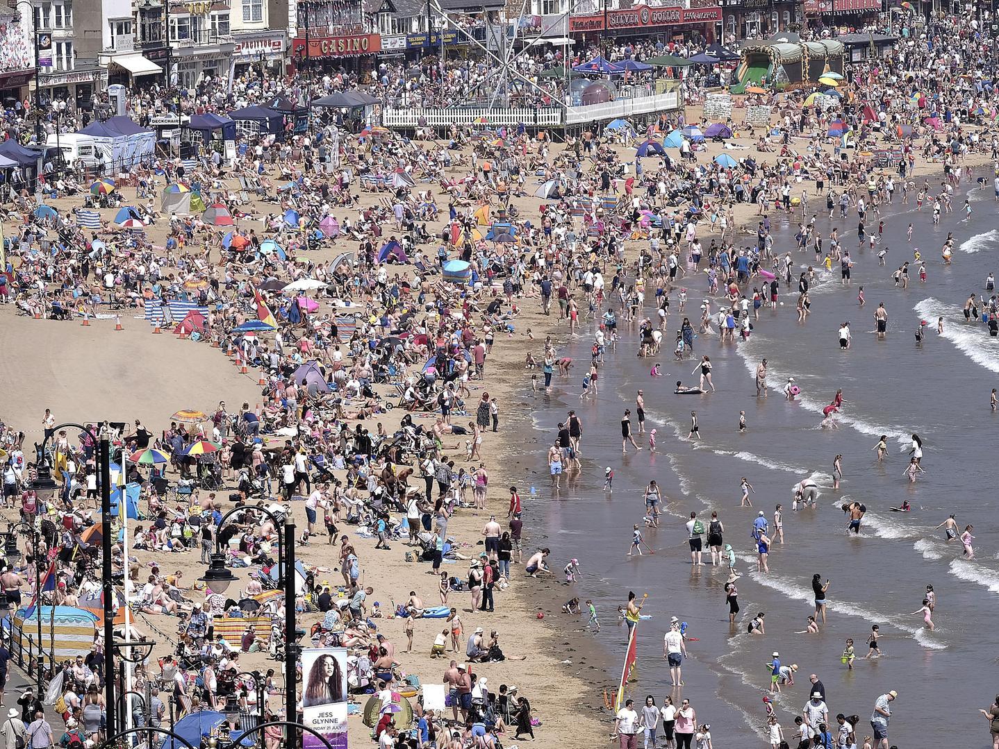 A packed South Bay
