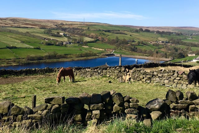 Overlooking Leeming Reservoir, Oxenhope by Anthony Greenwood.