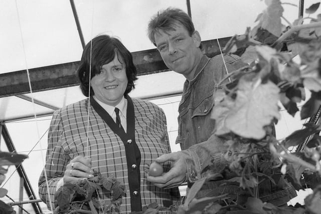 Prisons Minister Ann Widdecombe has reassured Lancashire residents that dangerous life prisoners will not be transferred to Kirkham Open Prison. She made the pledge during a tour of the jail. She is pictured above with Andy in the prison greenhouse