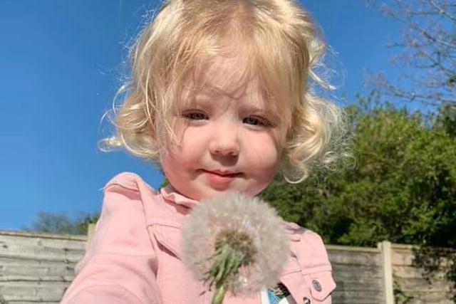 Evie-Jae, two, picks flowers in the garden, sent by Leah Lowe.