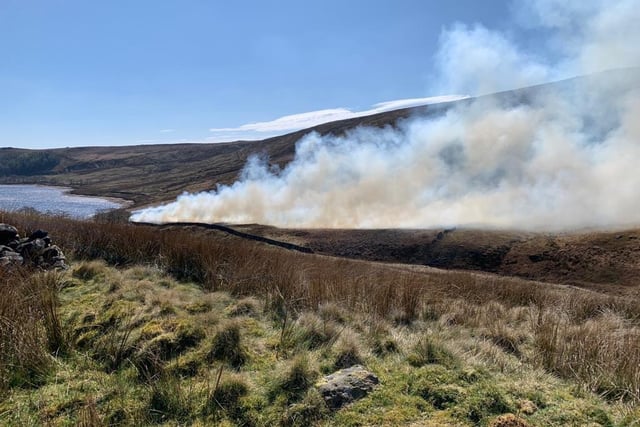 The fire covered an area of 200 metres