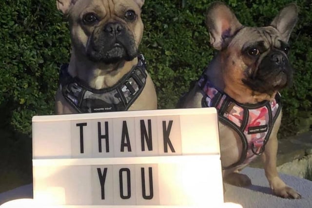 Tracey Exley shared a picture of her dogs Leo and Luna, who took time to thank all of our key workers!