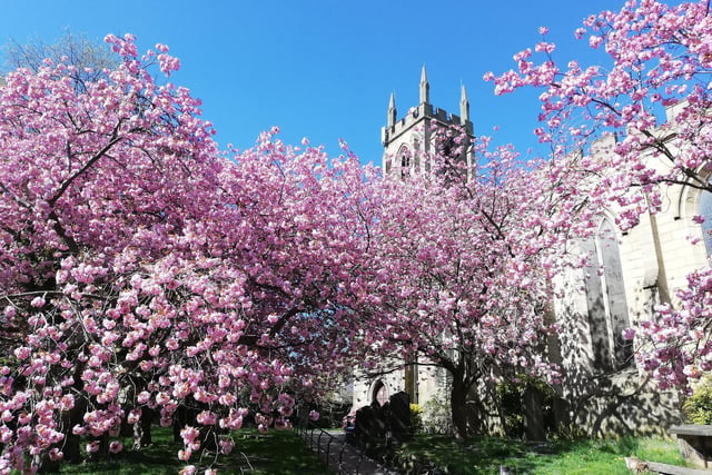 St. Martins Church in Spring Blossom by Dave Rowland.