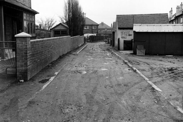 A view of back alley behind Lingwell Road. 'Beware of the dogs' sign is visible.