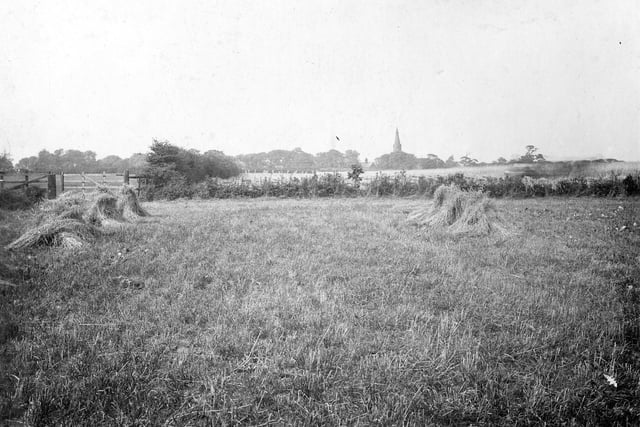 A view looking towards spire of St Mary's Church which is on Town Street. New Lane can be seen behind hedgerow.
