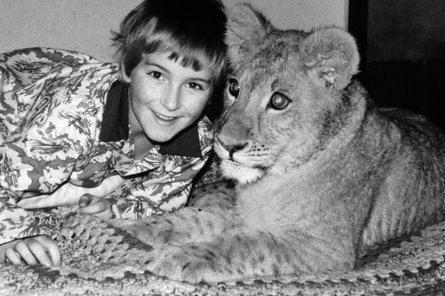 This is Garforth's own Carl Denver, aged nine when this photo was taken, pictured with his pet lioness Lisa.