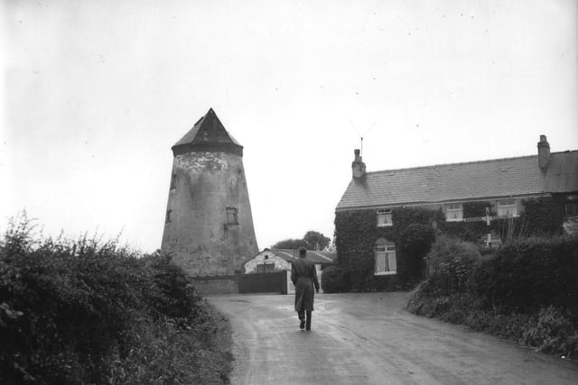A familiar scene at the end of Smithy Lane, Staining, 1950s, where the windmill stands.