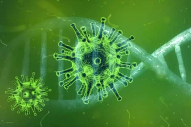 Sheffield scientists have helped identifty a new strain of coronavirus.