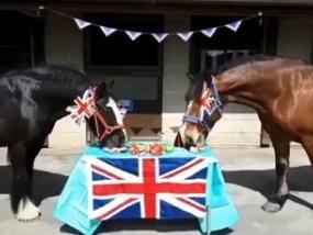 Sue Scholey shared this photo of Wakefield Riding for The Disabled ponies Baxter and Bobby enjoying afternoon tea!